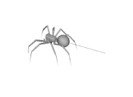../../../snapShotQueries/ssquery55.png
